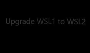 Upgrade WSL1 to WSL2